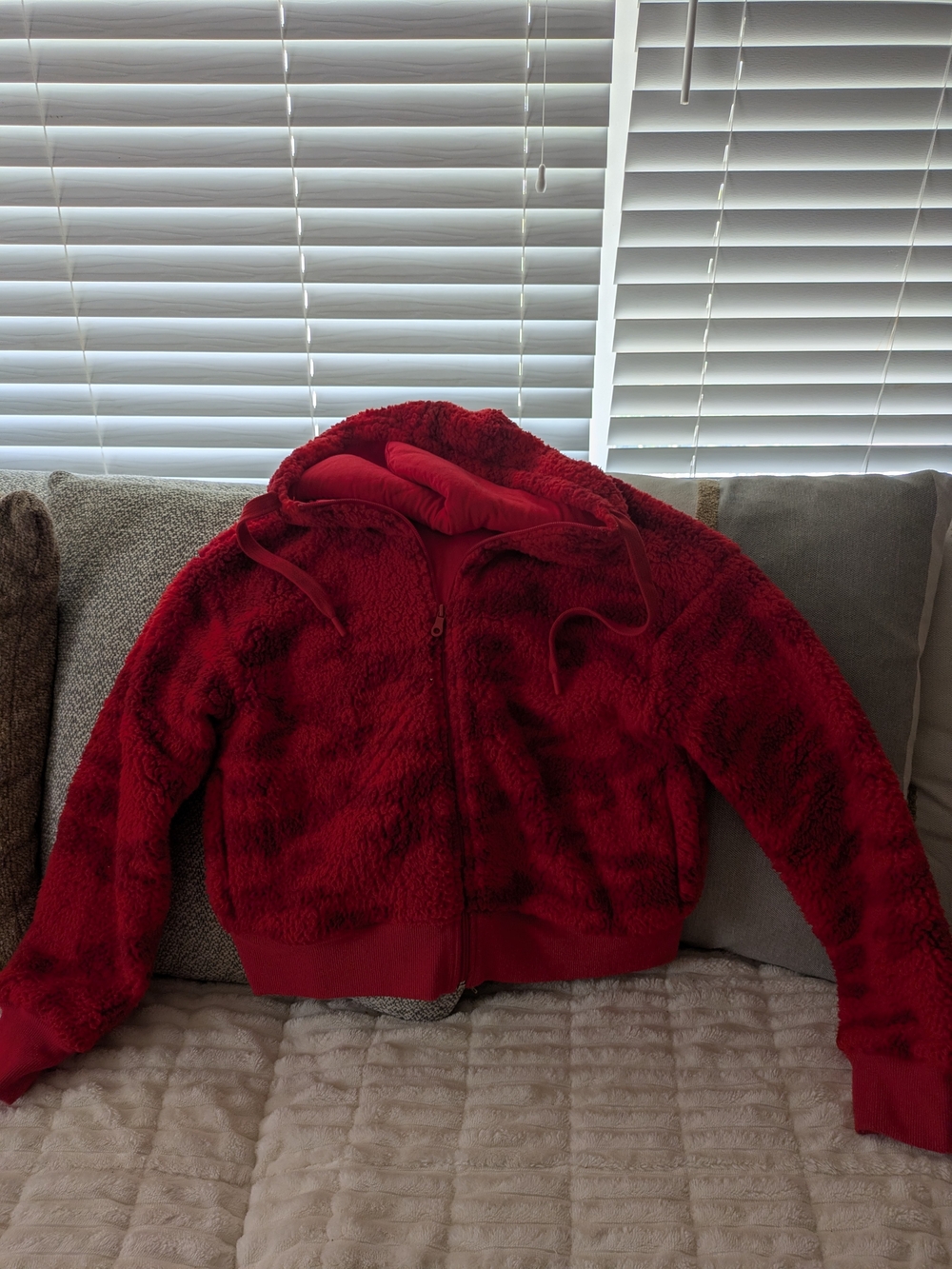 Plush Zip-Up Hoodie Jacket in Red